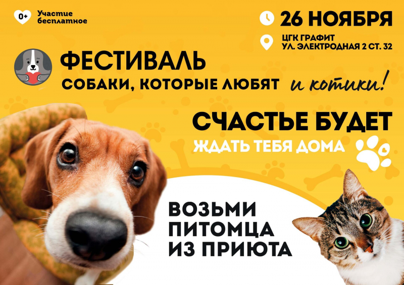Благотворительный фестиваль-пристройство собак и кошек пройдет в Москве
