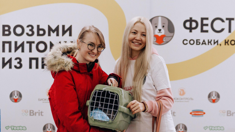 Благотворительный фестиваль-пристройство собак и кошек пройдет в Москве