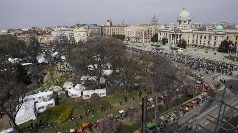 Брнабич осудила поддержку ветеранами ВДВ протестов в Белграде